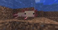 Image via Minecraft